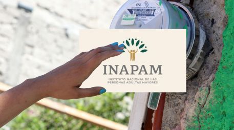 La tarjeta del Inapam se puede tramitar a partir de los 60 años. EL INFORMADOR / ARCHIVO