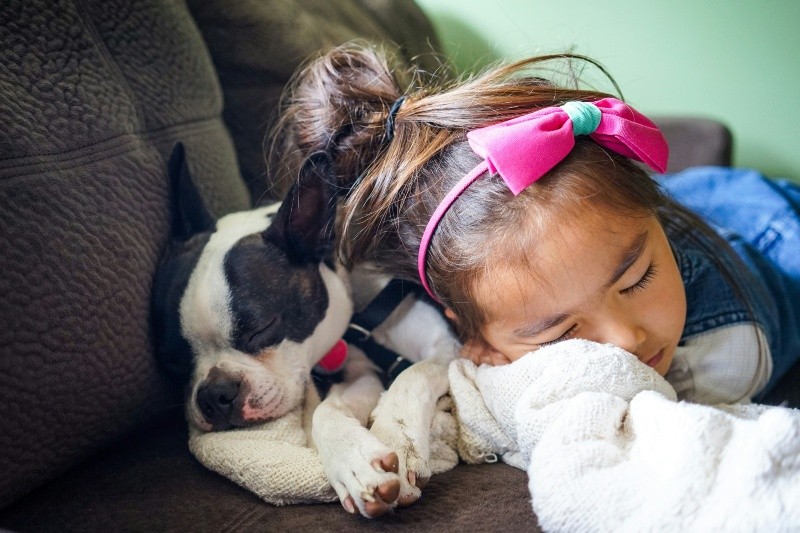 las personas suelen elegir mascotas que coincidan con su estilo de vida y rutinas diarias. UNSPLASH/ L. Rivas 