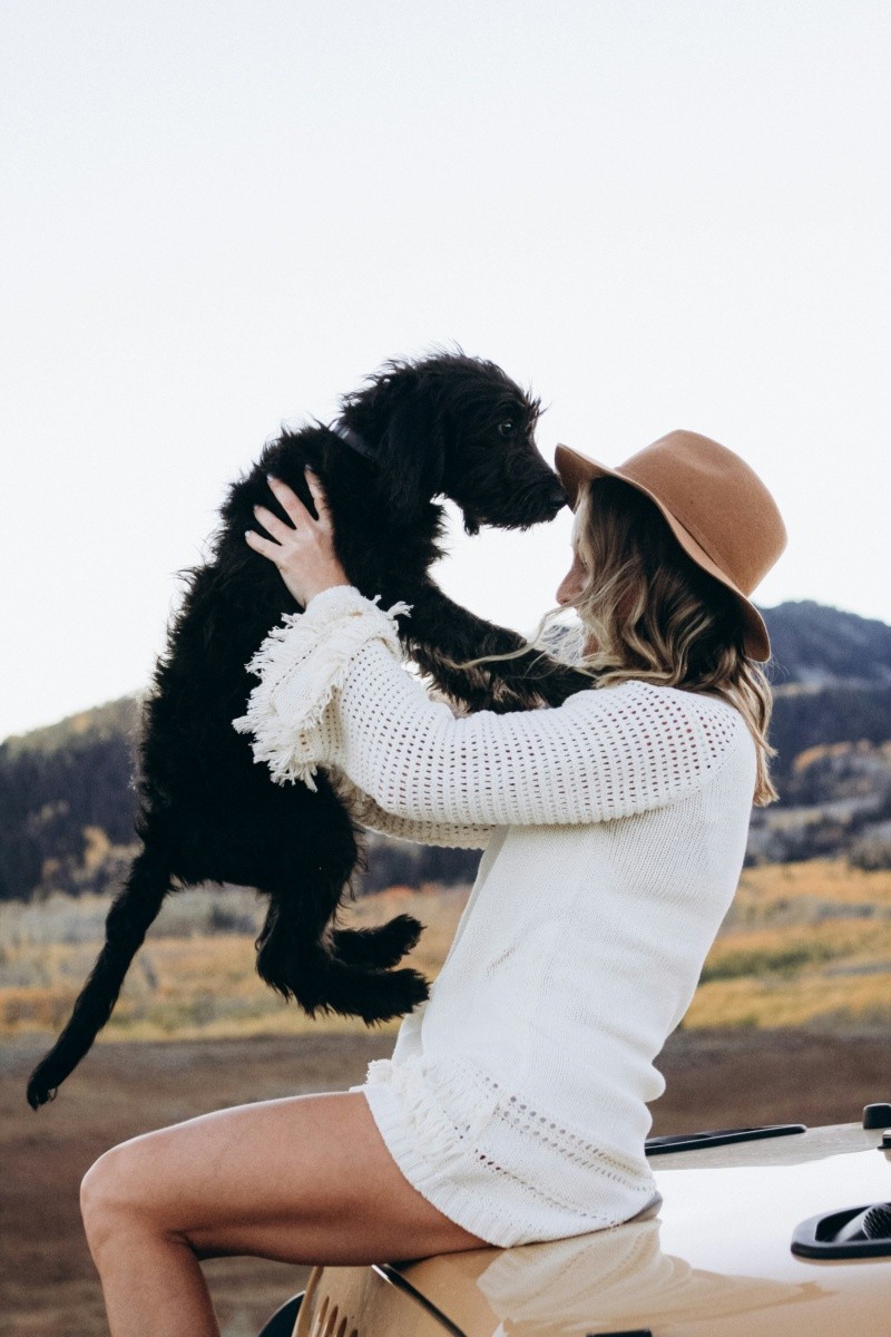  Ante esta acción recurrente de los dueños hacia sus mascotas, los científicos han investigado qué tan bueno es que los humanos les hablen de esta manera. UNSPLASH/ O. Hutcherson