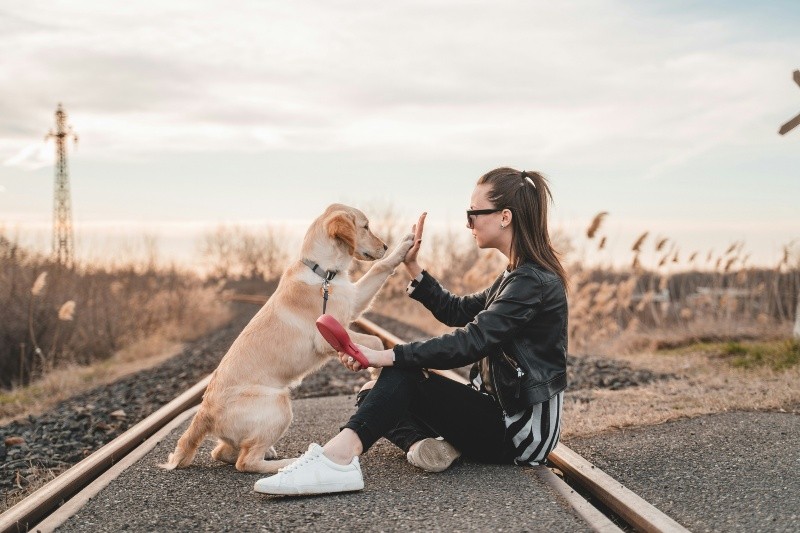 Posiblemente pertenezcas al sector poblacional que le habla de manera infantil a tu perro, pero no te preocupes, ya que la ciencia ha descubierto que no hay nada de malo. UNSPLASH/  R. Brutyo