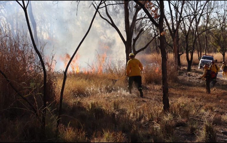 En las labores de control de las llamas trabajaron un total de 27 bomberos forestales. ESPECIAL/PC y Bomberos de Zapopan