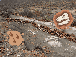 Esta zona paleontológica en México se encuentra abierta al público y es de gran relevancia tras descubrimientos de fósiles. EFE/INAH/Archivo