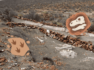 Esta zona paleontológica en México se encuentra abierta al público y es de gran relevancia tras descubrimientos de fósiles. EFE/INAH/Archivo