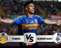 Los Tigres reciben este fin de semana en casa a los Gallos Blancos, donde buscarán los tres puntos para seguir en la lucha por estar en la cima del campeonato mexicano. IMAGO7