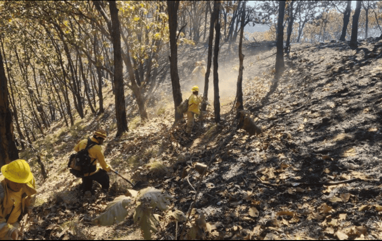 La alerta se desactivó luego de que la Unidad Estatal de PC y Bomberos informó que el incendio fue extinguido en su totalidad. ESPECIAL