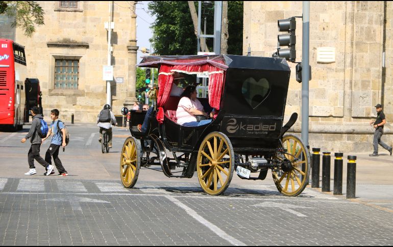 En el Centro Histórico de Guadalajara aún hay 39 carruajes que son jalados por los animales. EL INFORMADOR/ ARCHIVO.