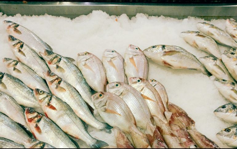 Pescados, frescos o congelados, son parte de las ofertas. UNSPLASH/Deeja Shots