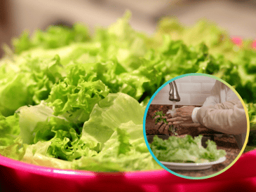 Entre las recomendaciones de los expertos se encuentra no cortar la lechuga antes de lavarla. ESPECIAL