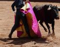 Para Claudia Sheinbaum, "si se pueden combinar las dos cosas (cultura y toros sin maltrato), creo que sería la mejor". EL INFORMADOR / ARCHIVO