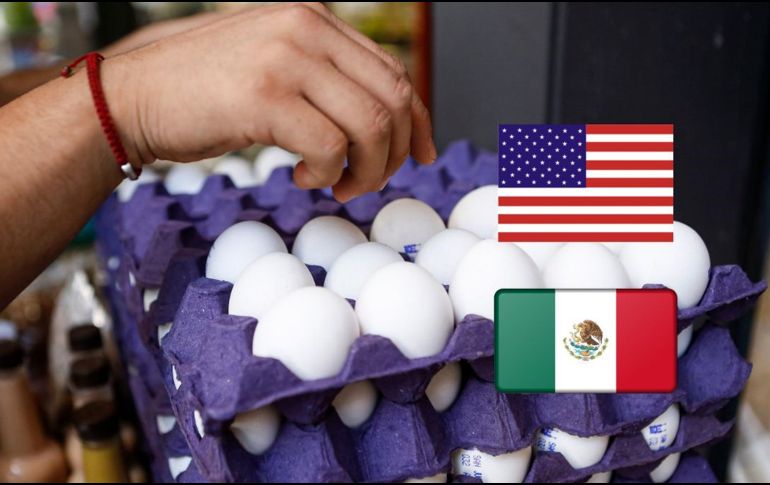 México se convirtió en el principal proveedor de huevo de Estados Unidos. EL INFORMADOR / ARCHIVO
