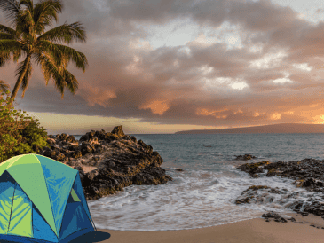 Jalisco ofrece destinos perfectos para escapar del ajetreo urbano y conectar con la naturaleza en su máxima expresión. ESPECIAL