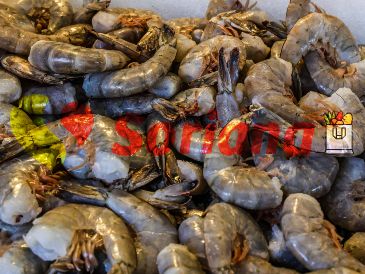 Estas son las ofertas del Martes y Miércoles del Campo en Soriana para la tercera semana de marzo. EL INFORMADOR / ARCHIVO