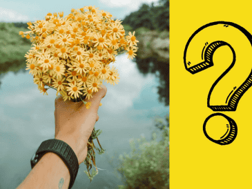 Este 21 de marzo, atrévete a innovar con tu regalo y sorprende a tus seres queridos con detalles únicos que transmitan la misma calidez y alegría que las flores amarillas. CANVA