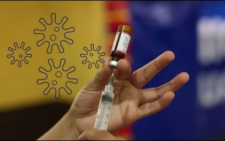 Las principales poblaciones objetivo para la vacunación serán niños y adolescentes. EFE / ARCHIVO