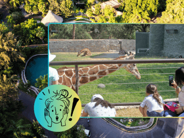 De acuerdo con la información de su sitio web, el precio regular del paquete Guadazoo es de 130 pesos para adultos y 90 para niños. EL INFORMADOR/ARCHIVO