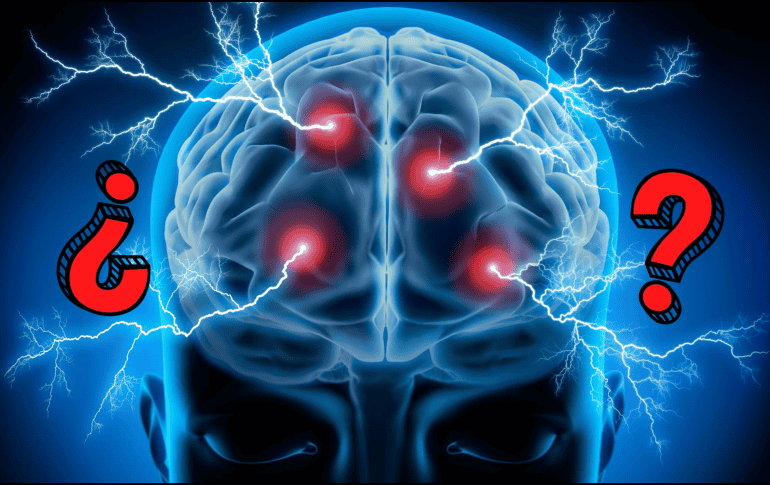La neurociencia moderna ha demostrado de manera concluyente que la creencia de que sólo usamos el 10% de nuestro cerebro, es un mito. CANVA