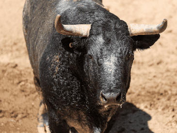 Se aprueba la ley con la que se prohíben las corridas de toros con violencia en la Ciudad de México. EL INFORMADOR/ ARCHIVO
