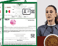 La mandataria federal indicó que se está revisando lo de la credencialización por medio de la CURP. EFE/J. MÉNDEZ ESPECIAL