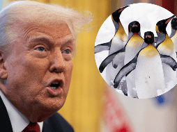 El primer ministro australiano, Anthony Albanese, expresó su preocupación al respecto: 