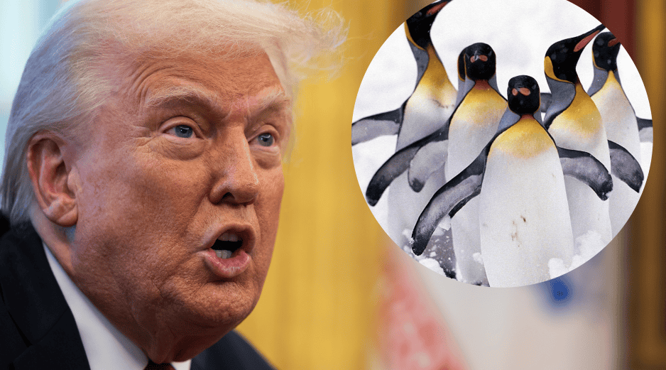 El primer ministro australiano, Anthony Albanese, expresó su preocupación al respecto: 