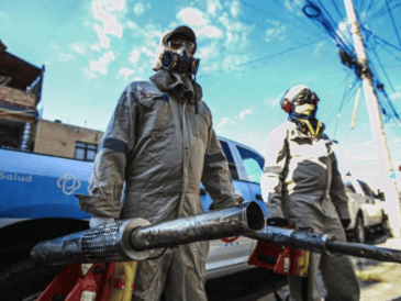 Mil 200 brigadistas recorrerán colonias y comunidades para eliminar criaderos del mosquito transmisor y aplicar larvicidas en depósitos de agua. GOBIERNO DE JALISCO