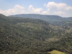 El operativo se llevará a cabo del 17 al 20 de abril y contempla el despliegue de cerca de 350 elementos de seguridad y atención. EL INFORMADOR / ARCHIVO
