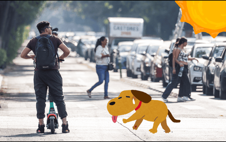 Para el AMG, se prevé cielo despejado con algunas nubes dispersas; ambiente cálido en horas del día, fresco por la noche y hasta el amanecer. EL INFORMADOR / ARCHIVO