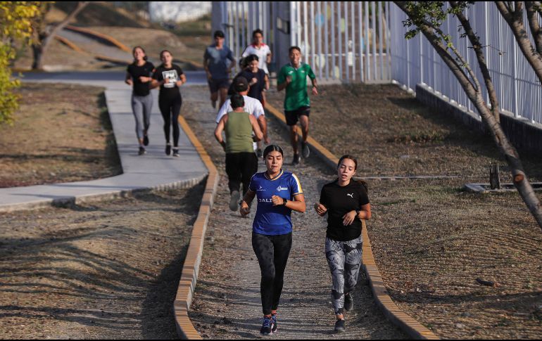 El exceso de tejido graso, en especial el exceso de grasa visceral, se relaciona en buena medida, afirma experto, “con un descuido de la salud del músculo”. EL INFORMADOR / ARCHIVO
