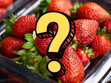 La próxima vez que muerdas una fresa, recuerda: estás disfrutando de una flor que decidió hacerse irresistible, pero no es una fruta como las demás. CANVA