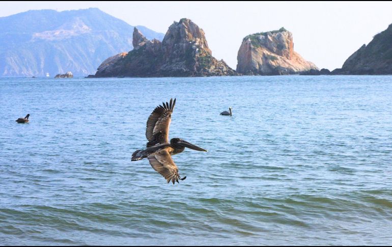 MELAQUE. Aprovecha y no te pierdas la oportunidad de salir de la ciudad para pasear, disfrutar los destinos de playa de Jalisco. EL INFORMADOR / ARCHIVO