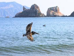 MELAQUE. Aprovecha y no te pierdas la oportunidad de salir de la ciudad para pasear, disfrutar los destinos de playa de Jalisco. EL INFORMADOR / ARCHIVO