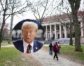 Cancelarían dos subvenciones a Harvard por un total de 2.7 millones de dólares.AP / EFE/ ARCHIVO
