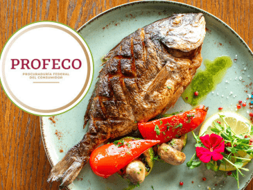 El filete fresco de mero, se observó una disminución de 20% en el precio para venderse en 266 pesos el kilo. CANVA