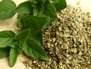 Dentro de la cocina, el orégano sirve para sazonar carnes, salsas, pastas, etcétera. ESPECIAL