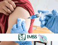 La Secretaría de Salud reiteró la importancia de acudir a cualquiera de los módulos disponibles para aprovechar esta campaña nacional, destinada a fortalecer la cobertura de vacunación y prevenir brotes de enfermedades transmisibles. IMSS