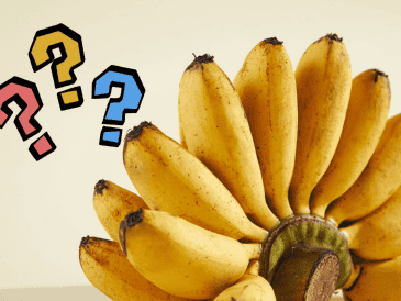 Desde los verdes, que son firmes y ricos en almidón, hasta los maduros con manchas oscuras que concentran azúcares y antioxidantes, cada etapa tiene algo diferente que ofrecer. En este artículo exploraremos cuándo es mejor comer un plátano según su color y qué beneficios específicos aporta en cada fase de maduración. CANVA