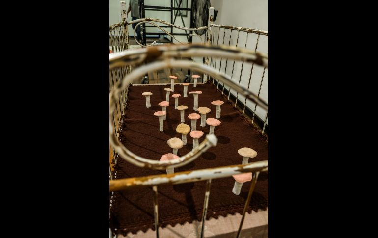 El Museo Cabañas inaugura la exposición 'Habitar el Norte (Kanata / Canadá)' como parte de las actividades del Festival Cultural de Mayo (FCM) 2025, una muestra que reúne el trabajo de diez artistas contemporáneos originarios de Canadá. EL INFORMADOR / A. Navarro