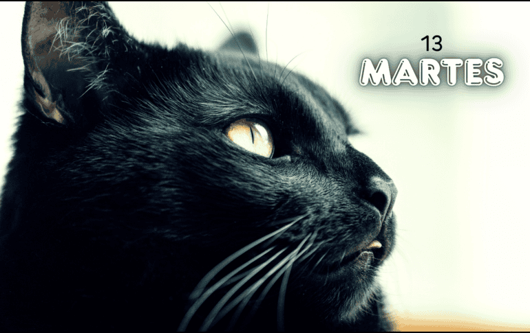 Es evidente, como con todas las supersticiones, que el número 13 no tiene una connotación negativa. ESPECIAL / CANVA