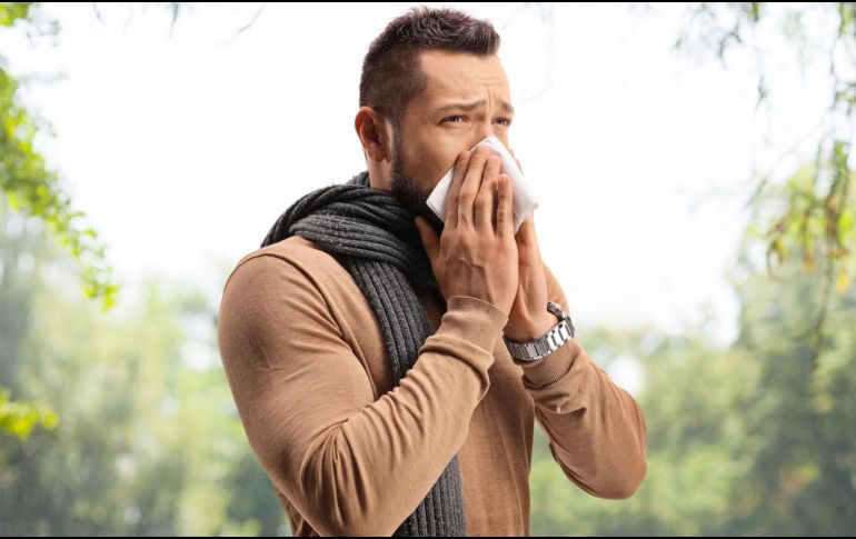 La fiebre del heno es una reacción alérgica del organismo a sustancias presentes en el aire, principalmente el polen de árboles, pastos o flores, pero también puede deberse al polvo, el moho o la caspa de animales.  CANVA