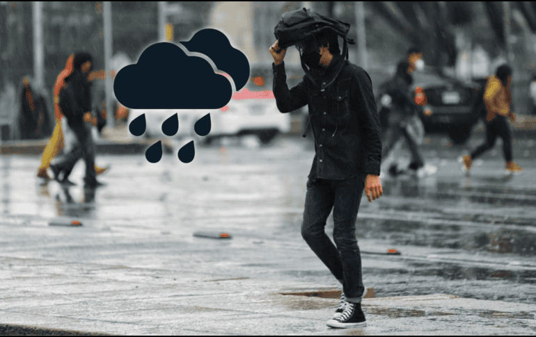 Las rachas de viento fuertes a muy fuertes podrían originar la caída de árboles y anuncios publicitarios. SUN / ARCHIVO