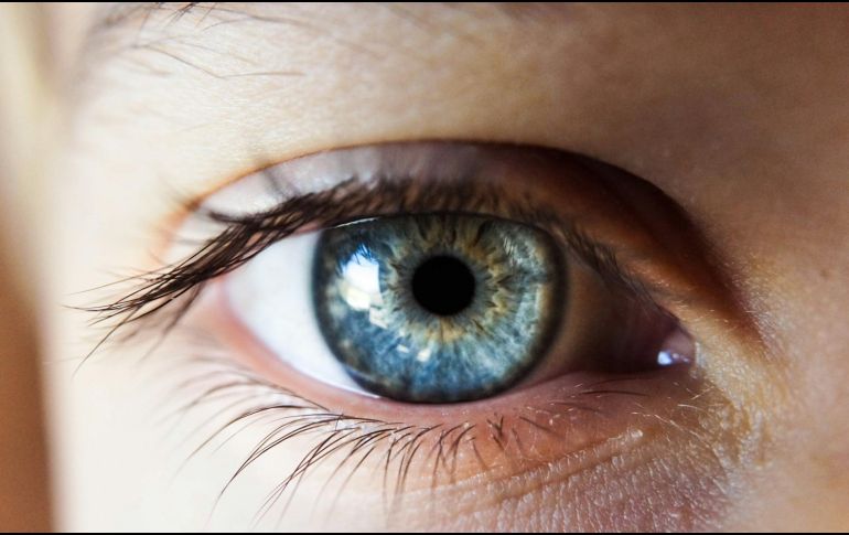 Descubre los mejores aceites para estimular el crecimiento de las pestañas. UNSPLASH / K. JERIELLE