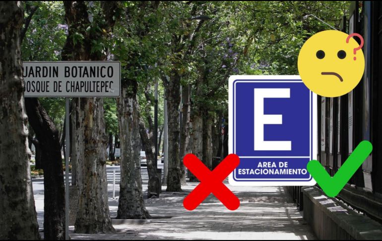 El Bosque de Chapultepec ha compartido un mapa con los estacionamientos autorizados. NOTIMEX/ARCHIVO/ESPECIAL
