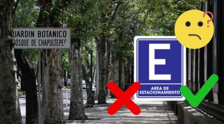 El Bosque de Chapultepec ha compartido un mapa con los estacionamientos autorizados. NOTIMEX/ARCHIVO/ESPECIAL