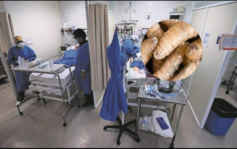 Se presentaron 6 casos, 3 de hombres y 3 de mujeres en Chiapas y 2 casos en Campeche. SUN / ARCHIVO