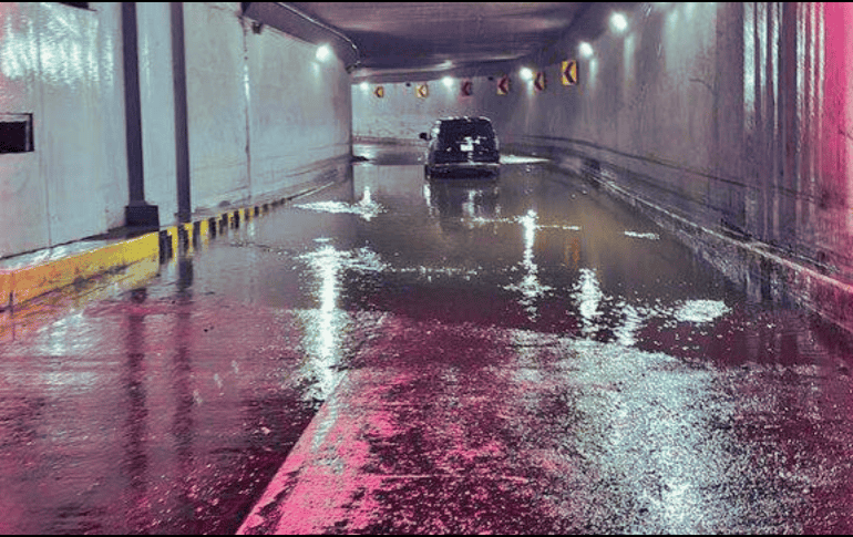 Las autoridades de Protección Civil y Bomberos atendieron los reportes desde las primeras horas del día. ESPECIAL / Protección Civil y Bomberos Zapopan