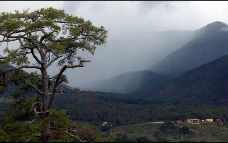 En México, el verano es la estación del año en la que se registran la mayor cantidad de lluvias, pero vale la pena mencionar que es cuando se puede presentar el fenómeno conocido como 
