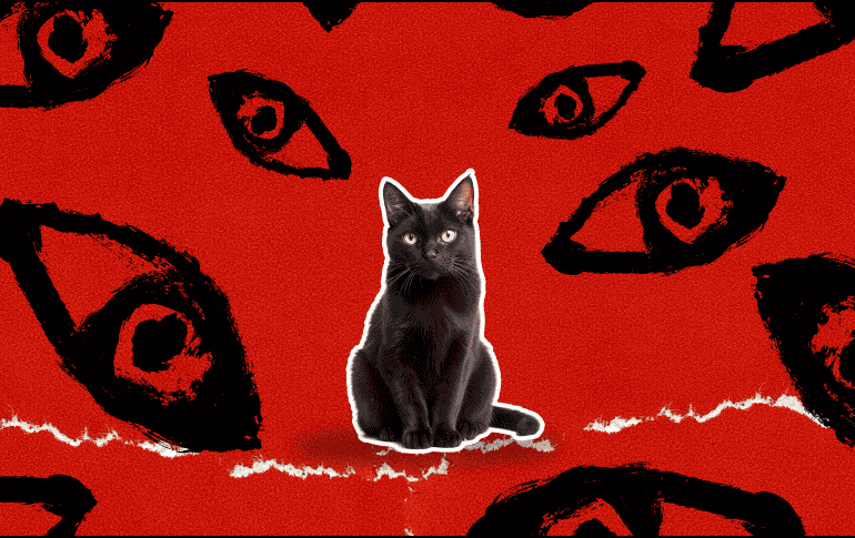 No todos les caemos bien a los gatos (y ellos tampoco lo disimulan). ESPECIAL / Canva