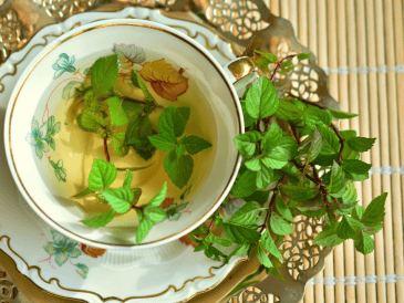 La hierbabuena es mucho más que un ingrediente aromático: es una planta con un largo historial de usos medicinales que puede ser un excelente aliado natural para el bienestar físico y emocional. CANVA