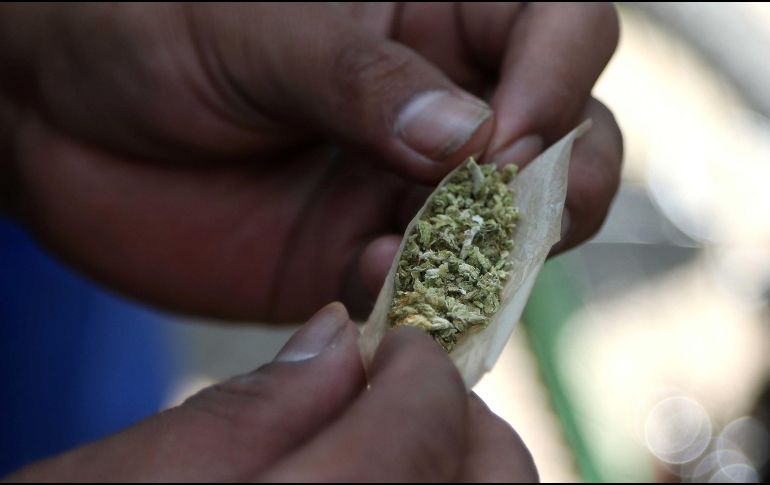 La marihuana es una droga cada vez más consumida en México. Foto: ARCHIVO/SUN/Carlos Mejía/EELG