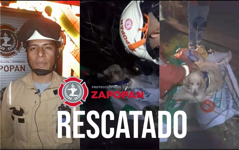 El perro fue trasladado a una clínica veterniaria para confirmar que no tuviera lesiones internas. ESPECIAL / FACEBOOK Protección Civil y Bomberos Zapopan